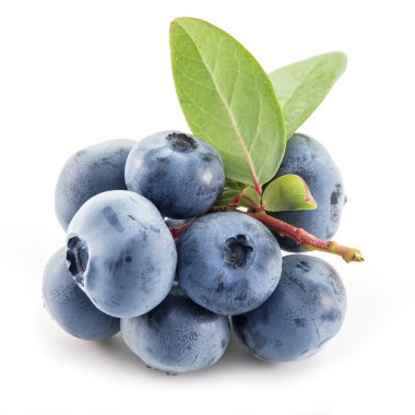 Beyaz arka plan üzerinde olgunlaşmış yaban mersini.