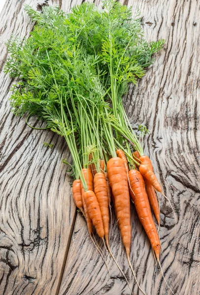 Zanahorias en la mano del hombre. Jardín en el fondo . —  Fotos de Stock