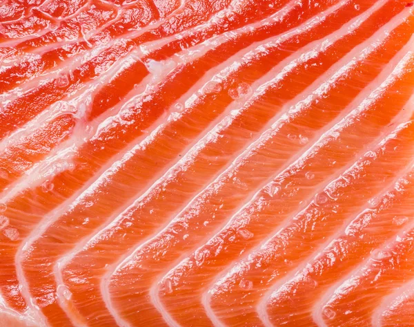 Struttura del salmone fresco . — Foto Stock