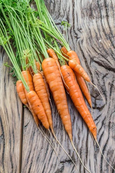 Carrots with greens on the white background. — Stock Photo, Image