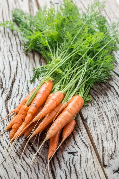 Zanahorias con verduras en el fondo blanco . —  Fotos de Stock