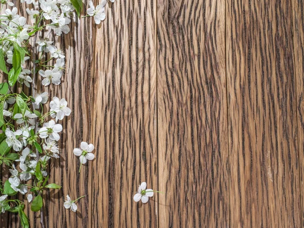 Цветущая вишневая ветка над старым деревянным столом . — стоковое фото