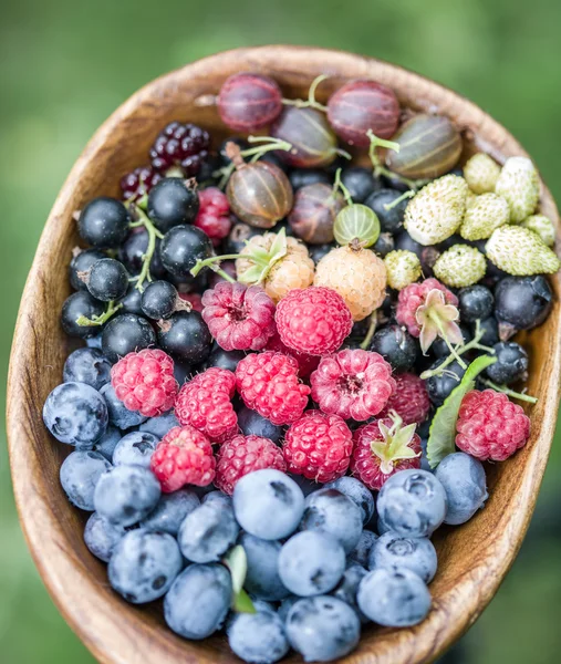 Reife Beeren in der Holzschale über grünem Gras. — Stockfoto