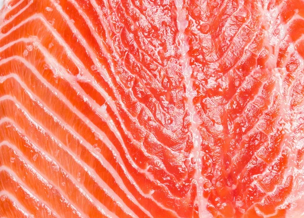 Struttura del salmone fresco . — Foto Stock