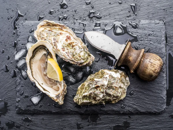 Raw oysters on the graphite board. — Stock Photo, Image