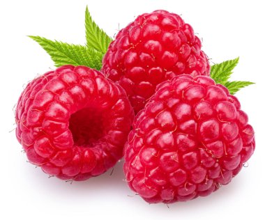 Ahududu yapraklı üç ahududu beyaz arka planda izole edilmiş. Tüm karede maksimum detay ve keskinlik. Dosyanın kırpma yolu var.