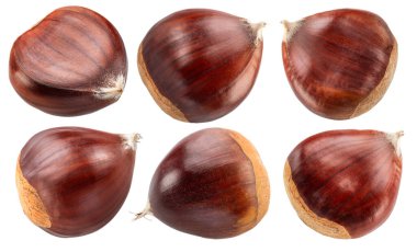 Beyaz arka planda bir grup çiğ kestane. Dosya kırpma yolları içeriyor. 