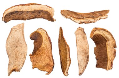 Beyaz arka planda izole edilmiş kurutulmuş porcini mantarları. Kesme yolu.