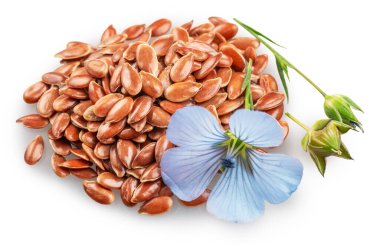 Mavi narin keten çiçeği beyaz arka planda izole edilmiş keten tohumu yığınının üzerinde yatıyor. Dosya kırpma yolları içeriyor.