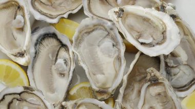 Taze çiğ yenilebilir istiridye; popüler deniz ürünleri yakın plan. Yumuşak deniz istiridyeleri.