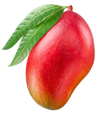 Beyaz arka planda yeşil mango yapraklı olgun mango meyvesi. Dosya kırpma yolu içeriyor.