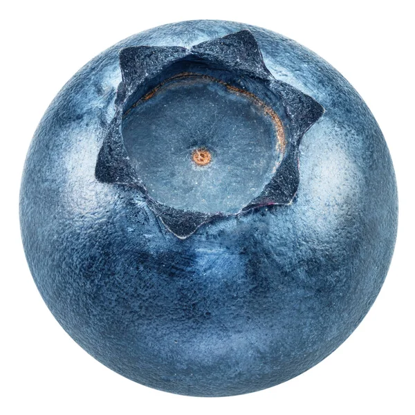 Beyaz arka planda olgun yaban mersini. Dosya kırpma yolları içeriyor.