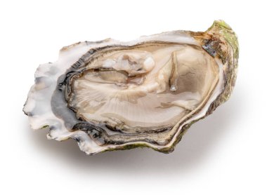 Açılmış çiğ istiridye, beyaz arka planda izole edilmiş, kırpma yolu. Lezzetli yemek..