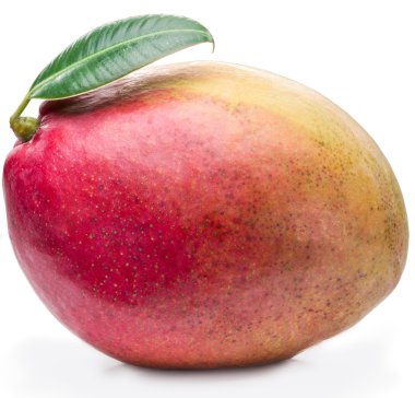 Beyaz bir arka plan üzerinde izole yaprak ile mango meyve.
