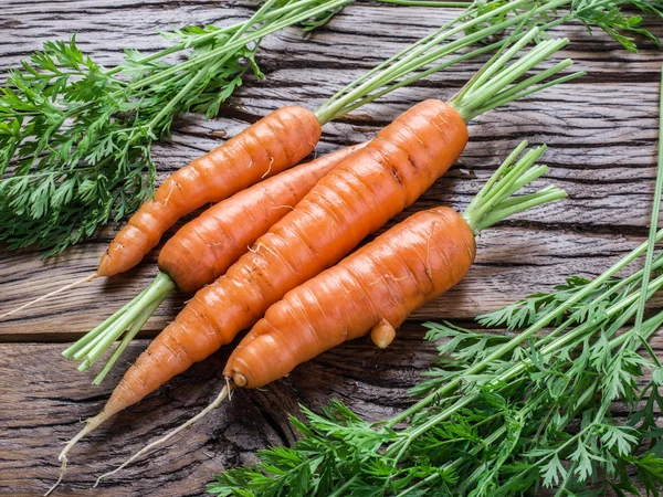 Carottes biologiques fraîches . — Photo