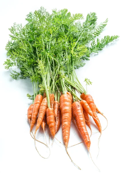 Cenouras com verdes no fundo branco . — Fotografia de Stock