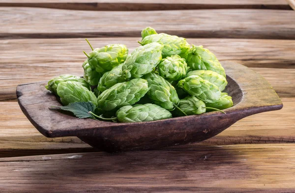 Hopfenzapfen in der alten Holzschale. — Stockfoto