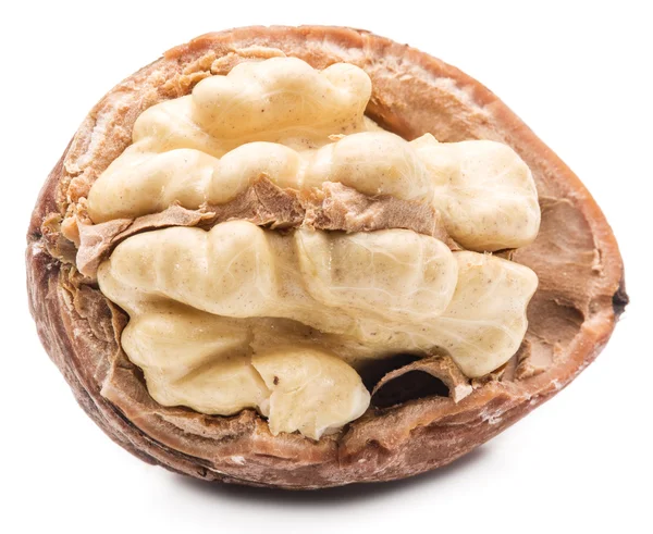 Walnut and walnut kernel. — Stock Photo, Image