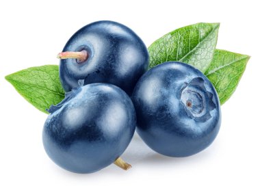 Beyaz arka planda yeşil yaban mersini yapraklı olgun yaban mersini. Dosya kırpma yolları içeriyor.