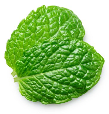 Beyaz arka planda izole edilmiş iki nane yaprağı. Birçok gıda üretim sürecinin popüler bir bileşeni. Kesme yolu.