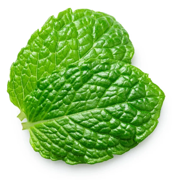 Beyaz arka planda izole edilmiş iki nane yaprağı. Birçok gıda üretim sürecinin popüler bir bileşeni. Kesme yolu.