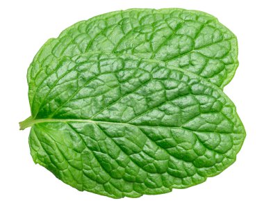 Beyaz arka planda izole edilmiş iki nane yaprağı. Birçok gıda üretim sürecinin popüler bir bileşeni. Kesme yolu.