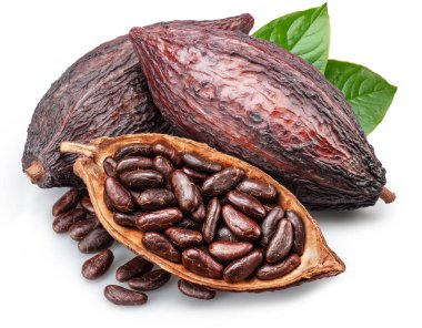 Beyaz arka planda izole edilmiş kakao çekirdekleri ile dolu kakao kabukları. Kesme yolu