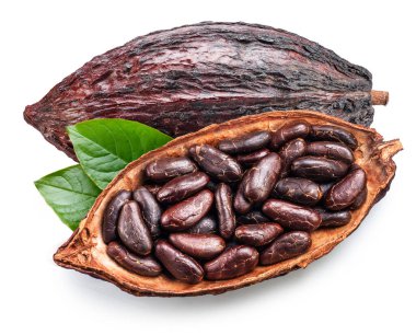 Beyaz arka planda izole edilmiş kakao çekirdekleri ile dolu kakao kabukları. Kesme yolu