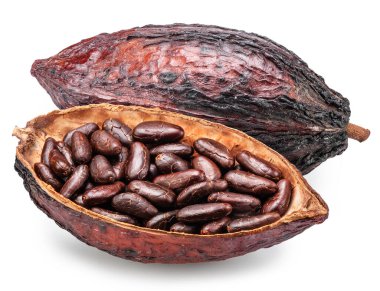 Beyaz arka planda izole edilmiş kakao çekirdekleri ile dolu kakao kabukları. Kesme yolu