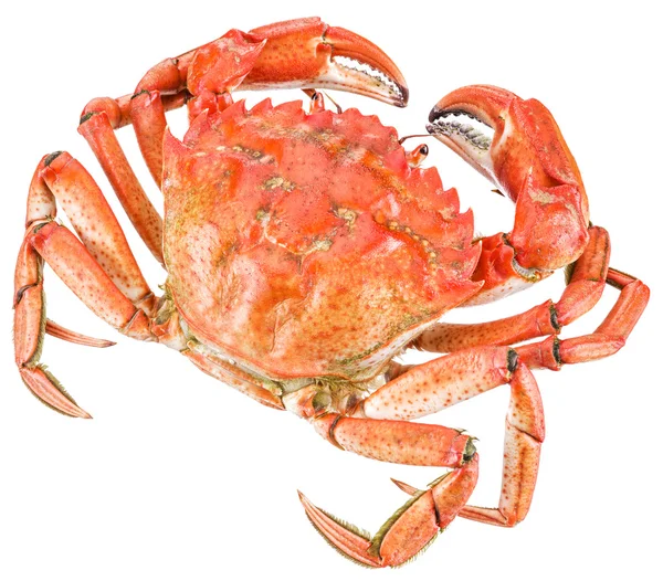 Pişmiş yengeç. Dosyada, kırpma yolları.