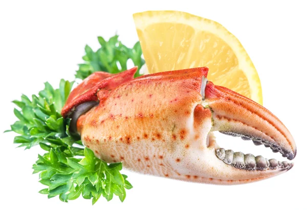 Gekookte krab claws met citroen en kruiden. — Stockfoto