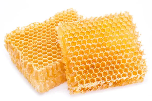 Nid d'abeille. Image de haute qualité . — Photo