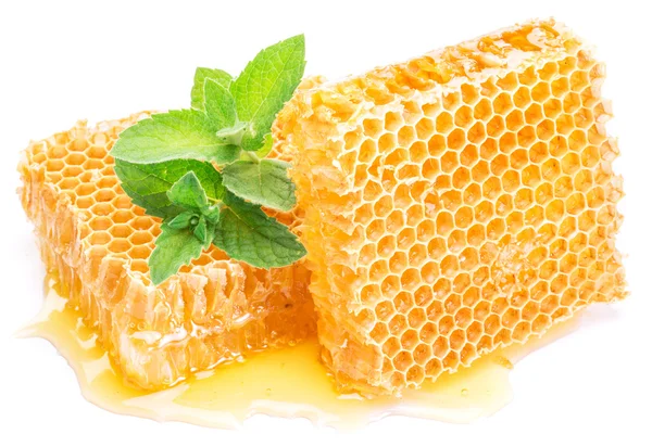 Honeycomb and mint. High-quality picture. — Stock Photo, Image