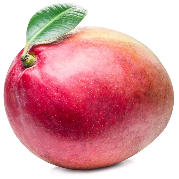 Mango fruit met blad geïsoleerd op een witte achtergrond. — Stockfoto