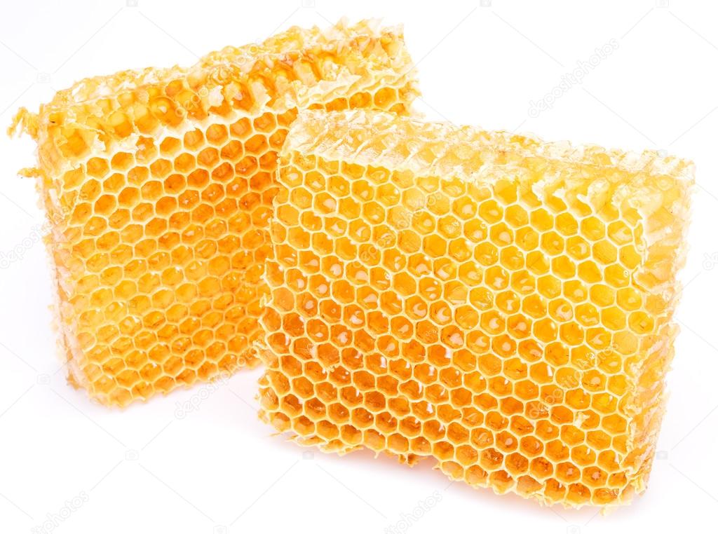 Honeycomb. High-quality picture.