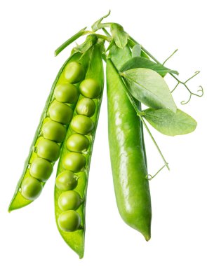 Beyaz arka planda izole edilmiş taze bezelyeler. Bu organik, sağlıklı yiyecek her sağlıklı yemek için canlı ve doğal bir bileşendir..