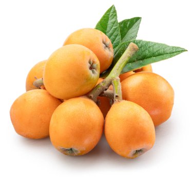 Taze lokuatlar (Eriobotrya japonica) ve beyaz arkaplanda yeşil lokuat yaprakları bulunur. Canlı turuncu derili olgun egzotik meyveler. Kesme yolu.