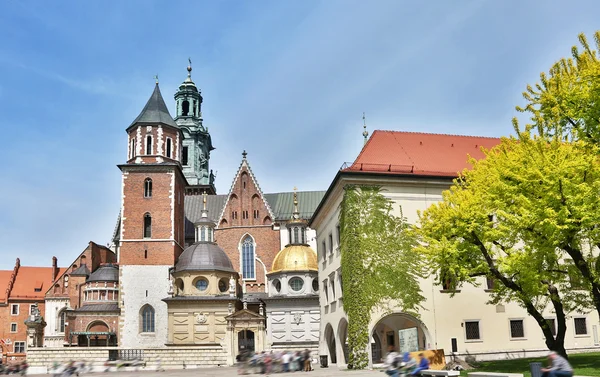 Catedral Wawel. Cracóvia . — Fotografia de Stock