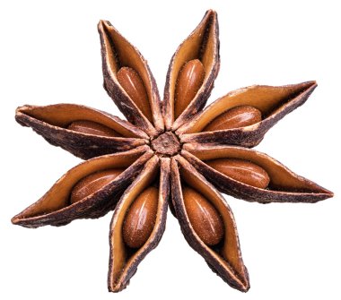 Anise star with seeds in it. Clipping paths. clipart