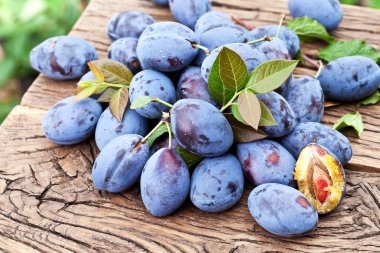 Erik eski ahşap masa.