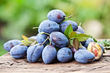 Erik eski ahşap masa.