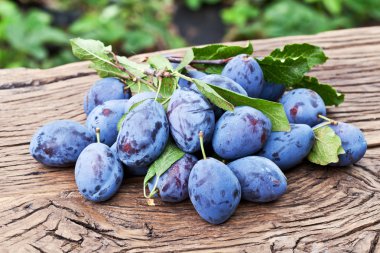 Erik eski ahşap masa.