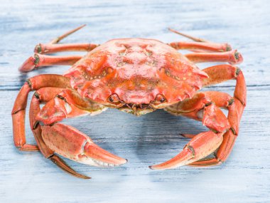 Eski mavi ahşap masa üzerinde pişmiş Yengeç.