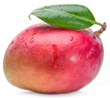 Mango meyve beyaz arka plan üzerinde izole yaprak ile.