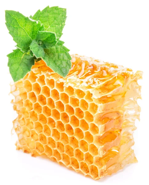 Pente de mel e hortelã. Imagem de alta qualidade . — Fotografia de Stock
