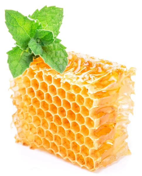 Honeycomb and mint. High-quality picture. — Stock Photo, Image