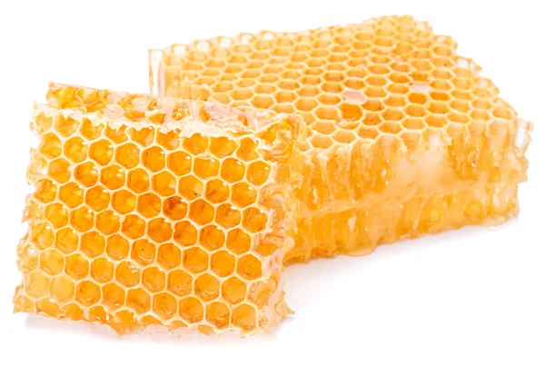 Panal de abeja. Imagen de alta calidad . — Foto de Stock