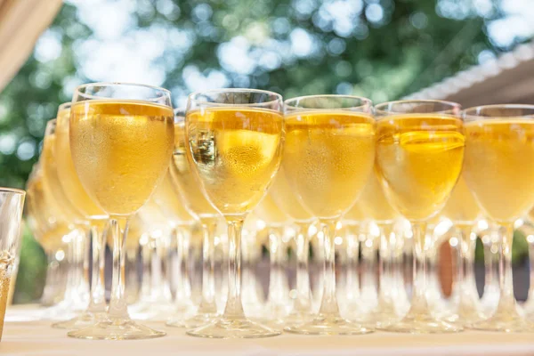 Raw of glasses filled with cold champagne. — Stock Photo, Image