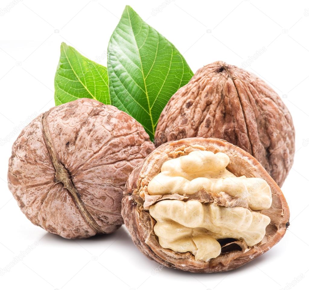 Walnut and walnut kernel.