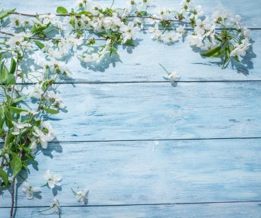 Eski ahşap masa üzerinde kiraz dal çiçek.